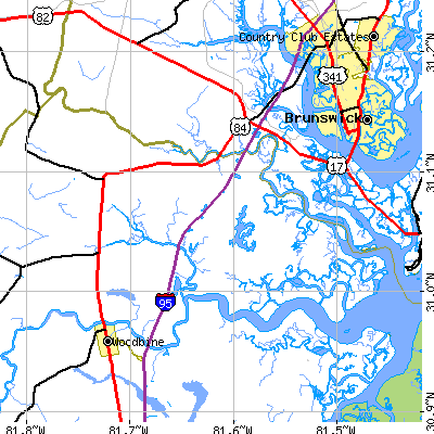 Zip code 31565 close-up map
