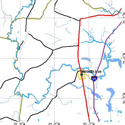 Zip code 31568 close-up map
