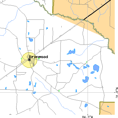 Zip code 31726 close-up map