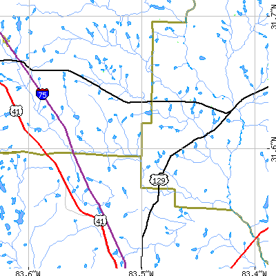 Zip code 31733 close-up map
