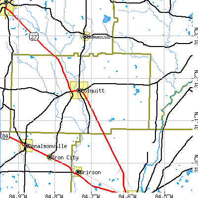 Zip code 31737 close-up map