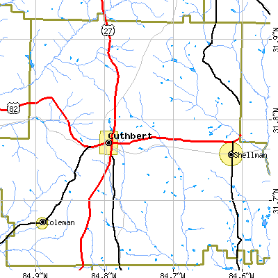 Zip code 31740 close-up map