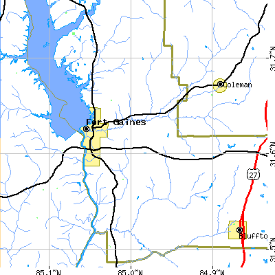 Zip code 31751 close-up map