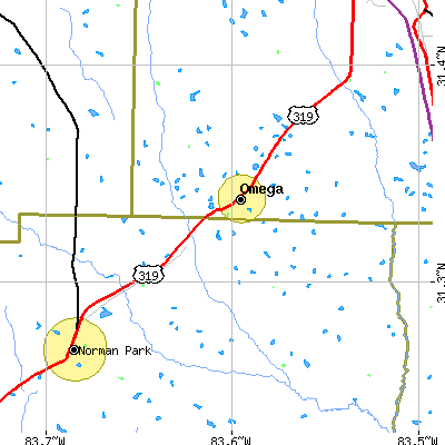 Zip code 31775 close-up map