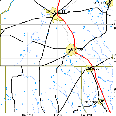 Zip code 31779 close-up map