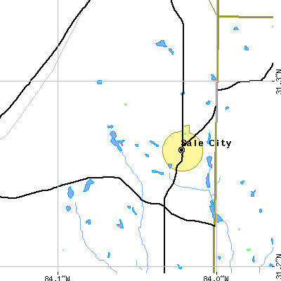 Zip code 31784 close-up map