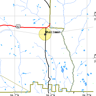 Zip code 31786 close-up map