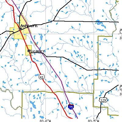Zip code 31790 close-up map