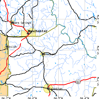 Zip code 31836 close-up map