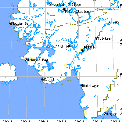 Zip code 99559 close-up map
