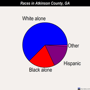 Atkinson County races chart
