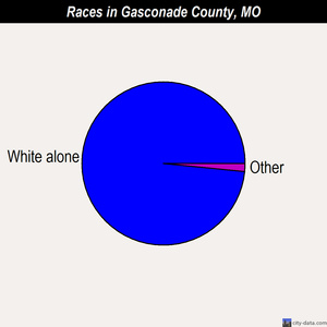 Gasconade County races chart