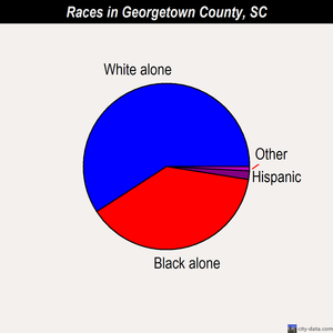 Georgetown County races chart