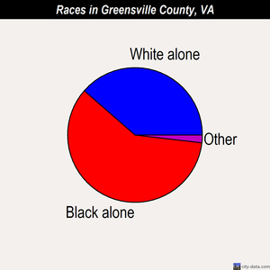 Greensville County races chart
