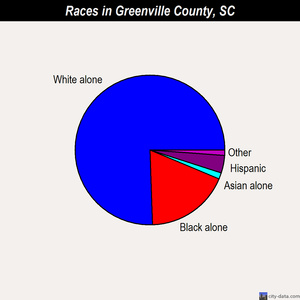 Greenville County races chart