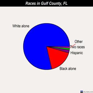 Gulf County races chart