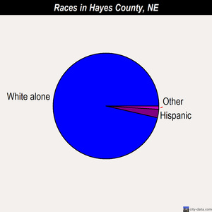 Hayes County races chart