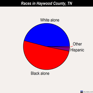 Haywood County races chart