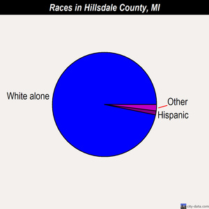 Hillsdale County races chart