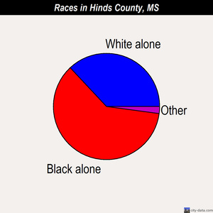 Hinds County races chart
