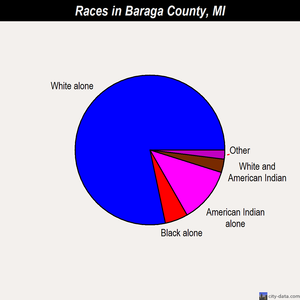 Baraga County races chart
