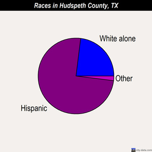 Hudspeth County races chart