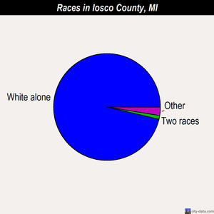 Iosco County races chart