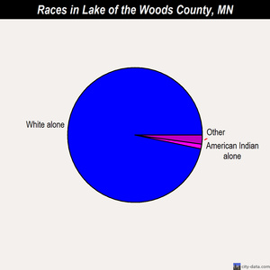 Lake of the Woods County races chart