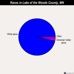Lake of the Woods County races chart