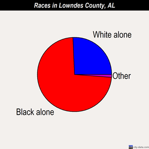 Lowndes County races chart