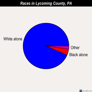 Lycoming County races chart
