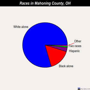 Mahoning County races chart
