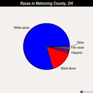 Mahoning County races chart