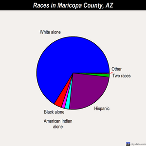Maricopa County races chart