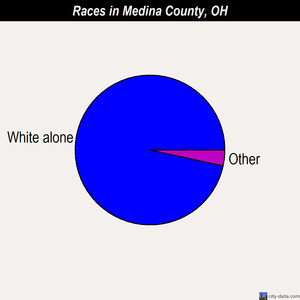 Medina County races chart