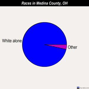 Medina County races chart