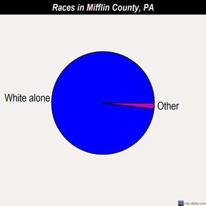 Mifflin County races chart