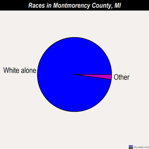 Montmorency County races chart