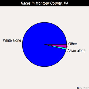 Montour County races chart