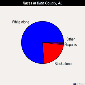 Bibb County races chart