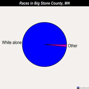 Big Stone County races chart