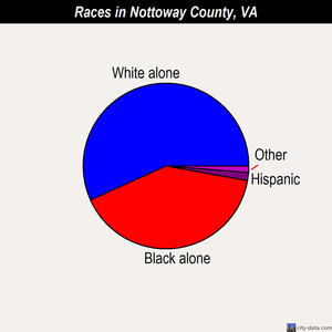 Nottoway County races chart