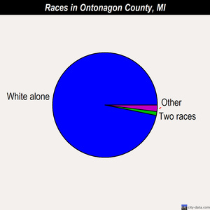Ontonagon County races chart