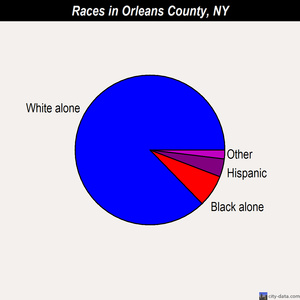 Orleans County races chart