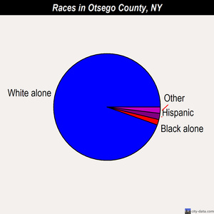 Otsego County races chart