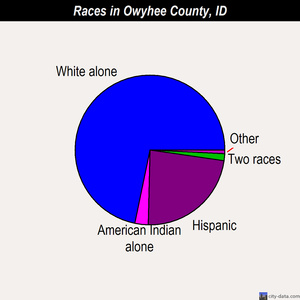 Owyhee County races chart