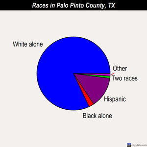 Palo Pinto County races chart