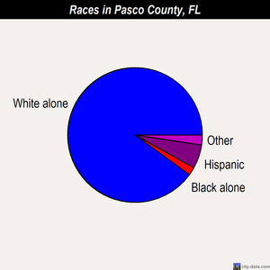 Pasco County races chart