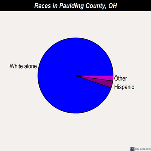 Paulding County races chart