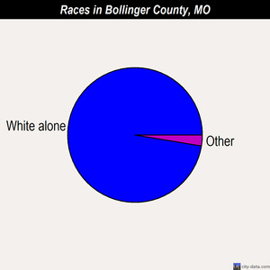 Bollinger County races chart